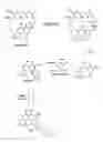 Fig. 01 - Antimicrobial agents and uses thereof
