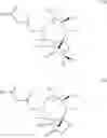 Fig. 04 - Pleuromutilin derivatives with antimicrobial activity