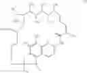 Fig. 02 - Regimen for the administration of rifamycin-class antibiotics