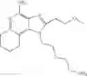 Fig. 19 - Amido ether substituted imidazoquinolines