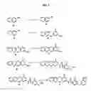 Fig. 03 - Salts and polymorphs of a potent antidiabetic compound