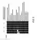 Fig. 06 - Methods and compositions for the treatment and management of hemoglobinopathy and anemia