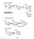 Fig. 08 - Synthesis of epothilones, intermediates thereto, analogues and uses thereof