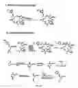 Fig. 10 - Synthesis of epothilones, intermediates thereto, analogues and uses thereof
