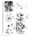 Fig. 113 - Synthesis of epothilones, intermediates thereto, analogues and uses thereof