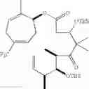 Fig. 174 - Synthesis of epothilones, intermediates thereto, analogues and uses thereof