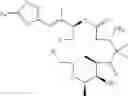 Fig. 217 - Synthesis of epothilones, intermediates thereto, analogues and uses thereof