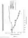 Fig. 68 - Synthesis of epothilones, intermediates thereto, analogues and uses thereof