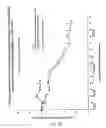 Fig. 74 - Synthesis of epothilones, intermediates thereto, analogues and uses thereof