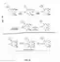 Fig. 85 - Synthesis of epothilones, intermediates thereto, analogues and uses thereof