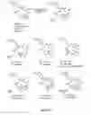 Fig. 86 - Synthesis of epothilones, intermediates thereto, analogues and uses thereof