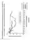 Fig. 99 - Synthesis of epothilones, intermediates thereto, analogues and uses thereof