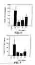 Fig. 06 - Inhibitors of interleukin-1beta converting enzyme