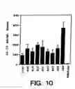 Fig. 08 - Inhibitors of interleukin-1beta converting enzyme