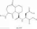 Fig. 280 - Inhibitors of interleukin-1beta converting enzyme