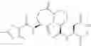 Fig. 320 - Inhibitors of interleukin-1beta converting enzyme