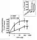 Fig. 01 - CB2 receptors blocks accumulation of human hepatic myofibroblasts: a novel artifibrogenic pathway in the liver