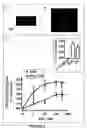 Fig. 03 - CB2 receptors blocks accumulation of human hepatic myofibroblasts: a novel artifibrogenic pathway in the liver