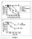 Fig. 04 - CB2 receptors blocks accumulation of human hepatic myofibroblasts: a novel artifibrogenic pathway in the liver