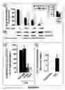 Fig. 07 - CB2 receptors blocks accumulation of human hepatic myofibroblasts: a novel artifibrogenic pathway in the liver