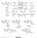 Fig. 06 - Non-steroidal farnesoid X receptor modulators and methods for the use thereof