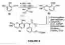 Fig. 07 - Non-steroidal farnesoid X receptor modulators and methods for the use thereof