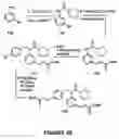 Fig. 22 - Non-steroidal farnesoid X receptor modulators and methods for the use thereof