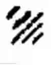 Fig. 902 - Avian appeasing pheromones to decrease stress, anxiety and aggressiveness