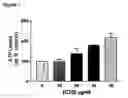 Fig. 05 - Stimulation of cpt-1 as a means to reduce weight
