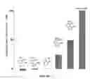 Fig. 02 - Bone targeting compounds for delivering agents to the bone for interaction therewith