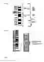 Fig. 08 - Novel treatment for pathologies associated with oxidative damage