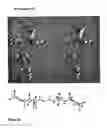 Fig. 17 - Novel treatment for pathologies associated with oxidative damage