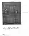 Fig. 18 - Novel treatment for pathologies associated with oxidative damage