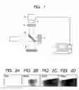 Fig. 02 - Apparatus and method for measuring cured state of reaction curable resin