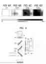 Fig. 06 - Apparatus and method for measuring cured state of reaction curable resin