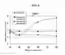 Fig. 07 - Moderately resistive rubber composition and rubber member