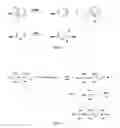 Fig. 06 - End-capped polymer chains and products thereof