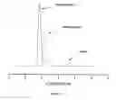 Fig. 10 - End-capped polymer chains and products thereof