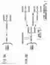 Fig. 06 - Proton conductor and method for producing the same