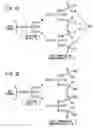 Fig. 08 - Proton conductor and method for producing the same