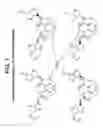 Fig. 06 - Aliphatic diol polycarbonates and their preparation