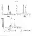 Fig. 02 - Stoichiometric conjugates of biocompatible polymers at the unpaired cysteine residue of the wild-type G-CSF