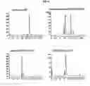 Fig. 07 - Stoichiometric conjugates of biocompatible polymers at the unpaired cysteine residue of the wild-type G-CSF