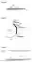 Fig. 08 - Mutated immunoglobulin-binding protein
