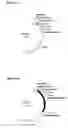 Fig. 09 - Mutated immunoglobulin-binding protein