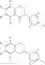 Fig. 16 - Production of isoflavone derivatives