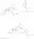 Fig. 05 - Process for producing triterpene derivative