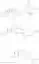 Fig. 15 - Process for producing triterpene derivative