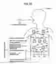 Fig. 16 - System for detecting position of capsule endoscope in subject