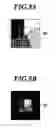 Fig. 09 - Ultrasonic image processing apparatus, ultrasonic image processing method and ultrasonic image processing program